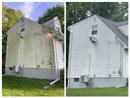 Exterior Wall Cleaning